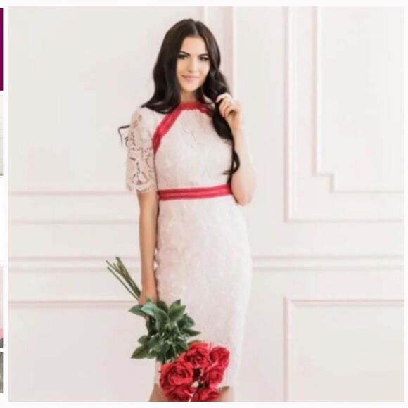 RACHEL Parcell pink and red lace short sleeve knee length dress size M - Picture 1 of 9